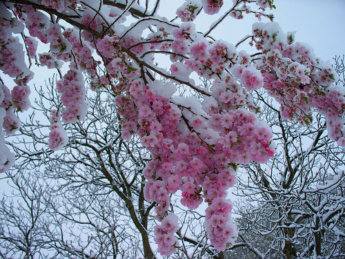 2392273134_77afcd0bf6