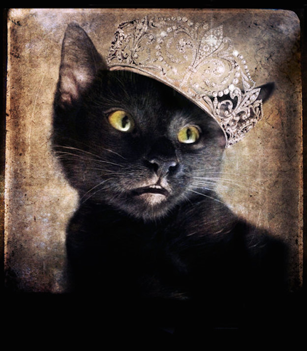 blackcattiara